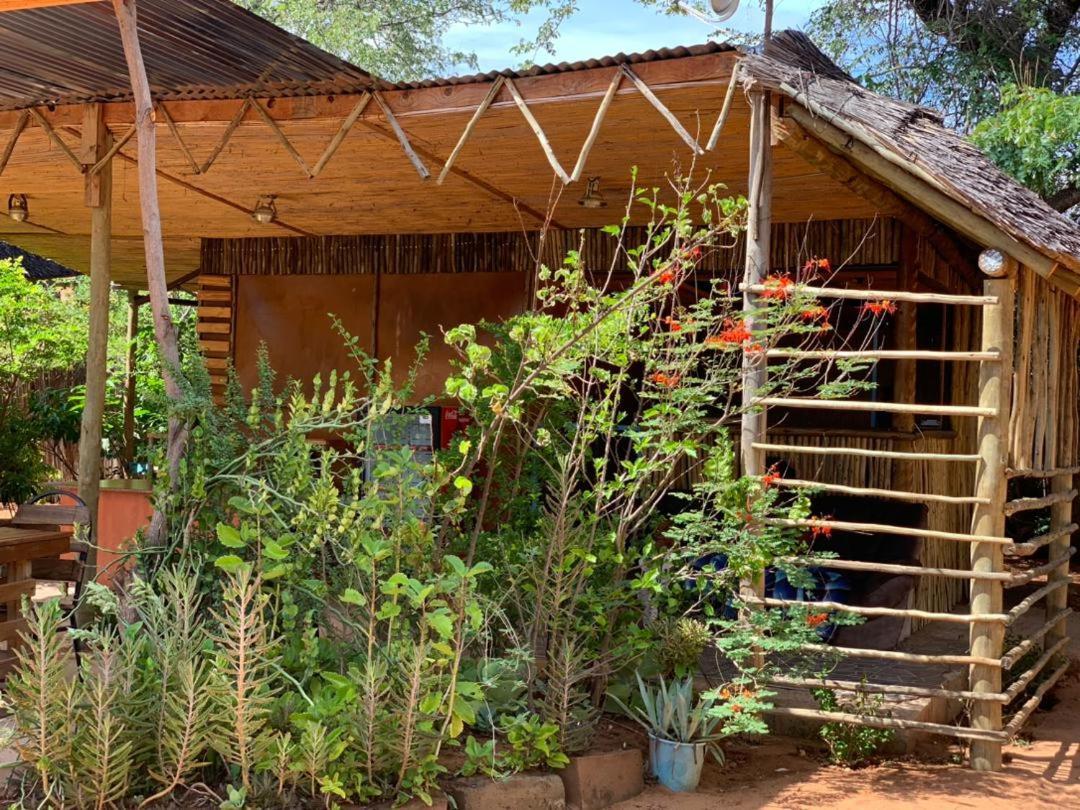 Jungle Breeze Home Stay Kasane Eksteriør bilde